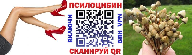 Галлюциногенные грибы GOLDEN TEACHER  где купить наркоту  Мензелинск 